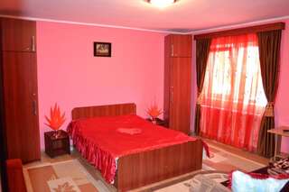 Гостевой дом Casa Fanel Буштени Двухместный номер с 1 кроватью-2